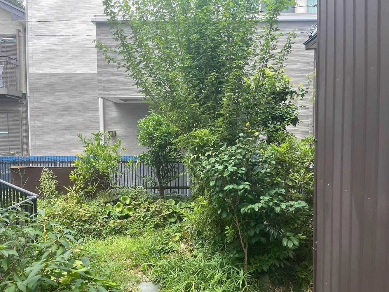 ブログ