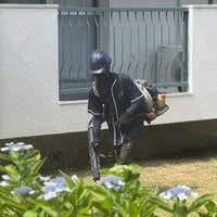 ブログ