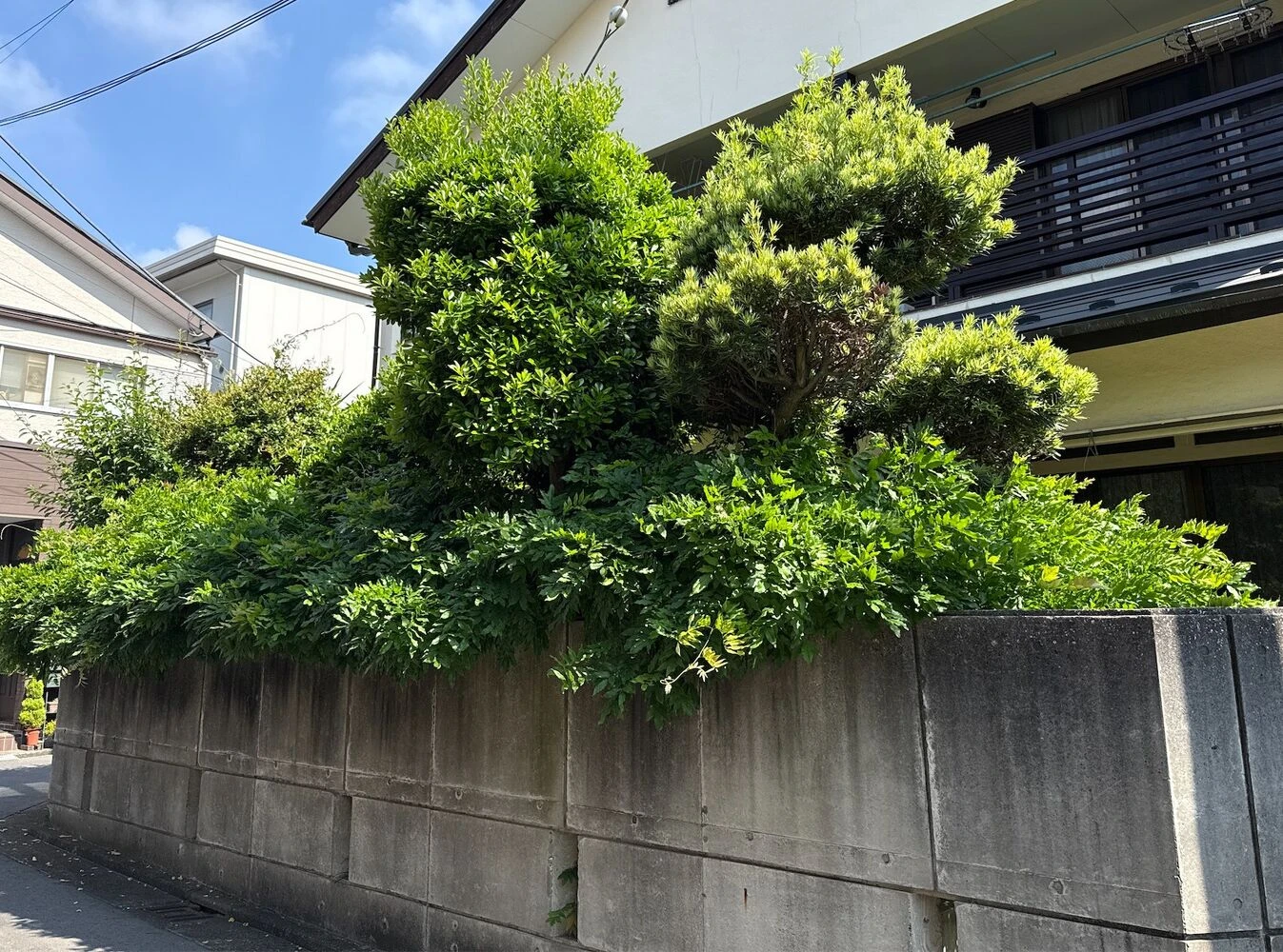 ブログ