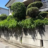ブログ