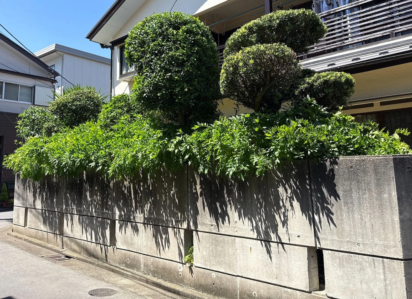 ブログ