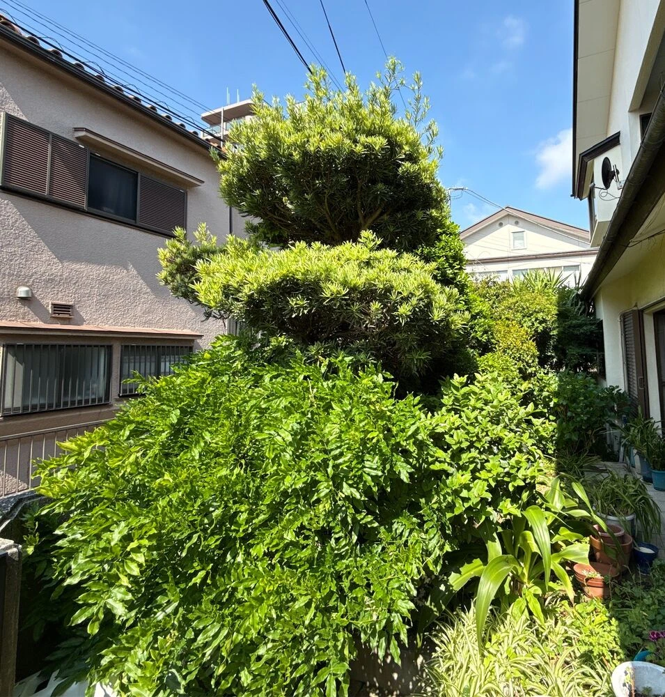 ブログ