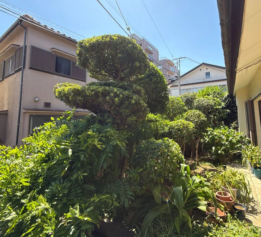 ブログ